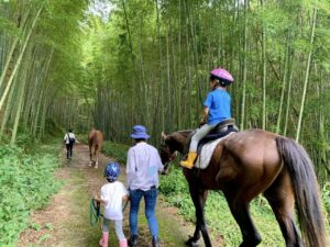 夏休みに野生児ホースキャンプを開催いたします